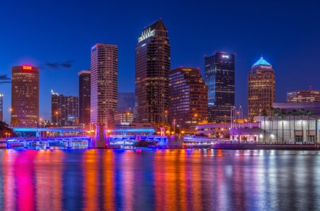 Welcome to the University of South Florida: UNICON New Member