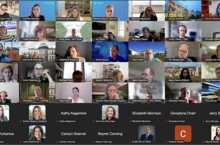 Executive Education Leadership in Turbulent Times (Webinar)